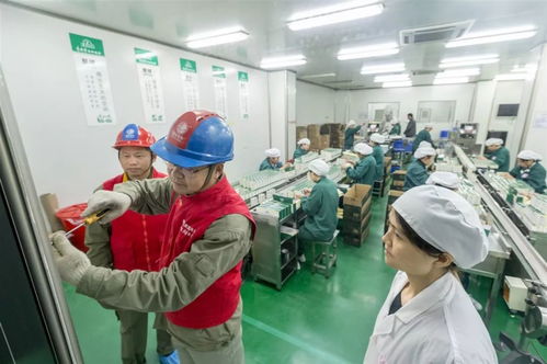 服務社會民生經濟，助推蘄春高質量發展· 蘄春供電公司勞務服務工作紀實